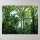 Search for habitat art Landscape