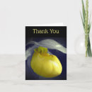 Search for black orchid cards Black and white