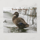 Search for grey on dark cards Lake