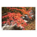 Search for four seasons posters Usa