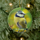 Search for little bird christmas tree decorations Cute
