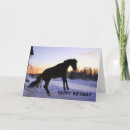 Search for horse jumping cards Funny