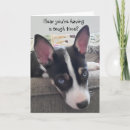 Search for pitbull cards Thinking of you