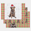 Search for lab wrapping paper Pets
