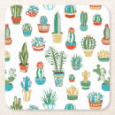 Search for cacti coasters Plant