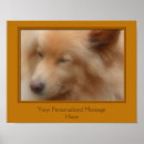 Search for sweet dog posters Inspirational