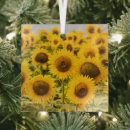 Search for field christmas tree decorations Summer