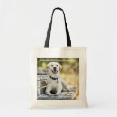 Search for bench bags Puppy