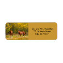 Search for equine return address labels Nature