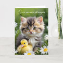 Search for tabby cat birthday cards Kitten