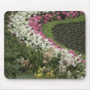 Search for amaryllis mousepads Garden