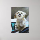Search for dog bath art Humour