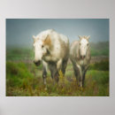 Search for la mer posters Ranch