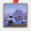 Search for olympic national park christmas tree decorations Nature