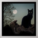Search for moon cat posters Darkness