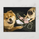 Search for chow puppy postcards Pet