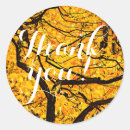 Search for vein stickers Tree