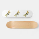 Search for moth skateboards Butterfly