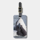 Search for don accessories Ocean