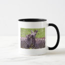 Search for zebras mugs Wildlife