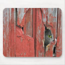 Search for tomcat mousepads Feline