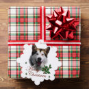 Search for alaskan malamute christmas cards Cute