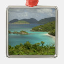 Search for st john christmas tree decorations Tropical