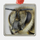 Search for african christmas tree decorations Animals