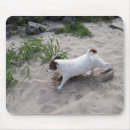 Search for dog portrait mousepads Terrier