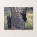 Search for black bear puzzles Outdoors