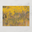Search for lambert postcards Autumn