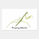 Search for mantis stickers Nature
