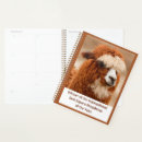 Search for cute llama office supplies Animal