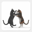 Search for dancing cat stickers Dance