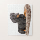 Search for doberman pinscher puzzles Pet