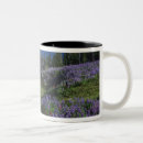Search for natural beauty mugs Scenic