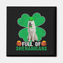 Search for gnomie magnets Leprechaun