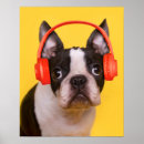 Search for dog with headphones posters Puppy