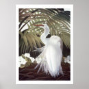 Search for egrets art Feathers