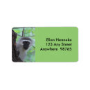 Search for africa return address labels Wild animal
