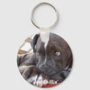 Search for pitbull key rings Dog