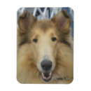 Search for dog breed christmas cards Breeds
