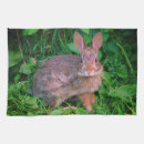 Search for rabbit placemats Brown