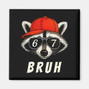 Search for racoon magnets 2026