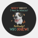 Search for russell stickers Jack russell terrier