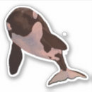 Search for killer whales stickers Animals