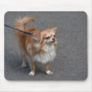 Search for redheads mousepads Cute