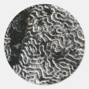 Search for black and coral stickers White