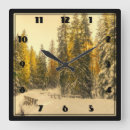Search for pine clocks Winter