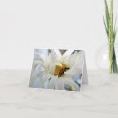 Search for ladybug cards Summer